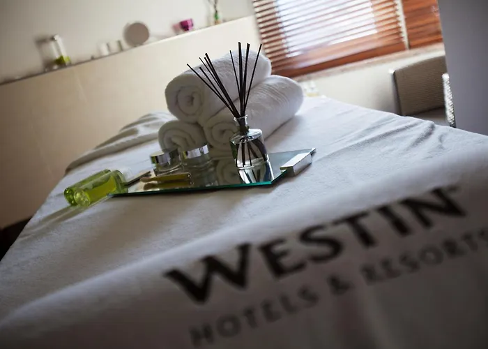 The Westin Grand Frankfurt Frankfurt am Main